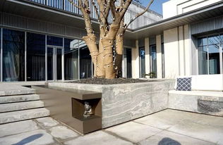 初見園林 廣州園林綠化設計與施工，打造私家別墅花園的理想選擇