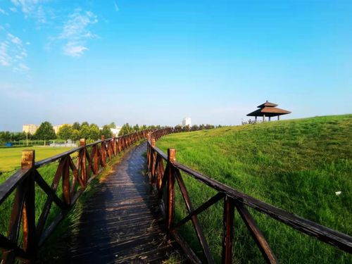 第二批山東省省級(jí)考古遺址公園名單公布，濟(jì)寧兩遺址入選助力文化遺產(chǎn)保護(hù)